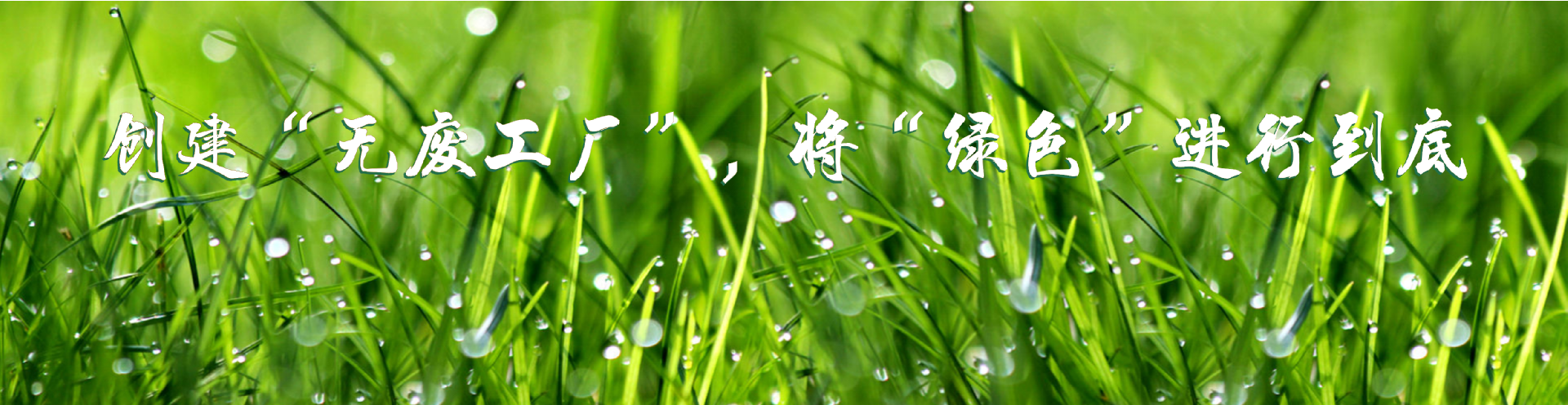 202405151008.png 無(wú)廢工廠照片_01(1).png